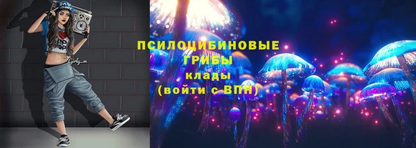 крисы Беломорск