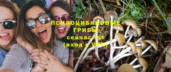 крисы Беломорск