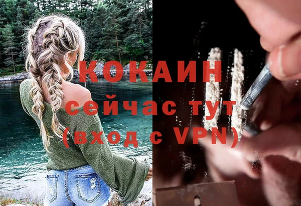 крисы Беломорск