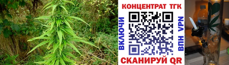 ТГК концентрат  Шадринск 
