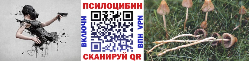 Псилоцибиновые грибы ЛСД  Шадринск 